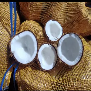批发越南农产品供应商提供的半壳椰子100% 天然定制徽标和包装