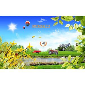 Tractor Massey Ferguson asequible MF 240 2WD 50 HP con implementos compatibles para uso agrícola para pequeños propietarios en Etiopía - Product Image 2