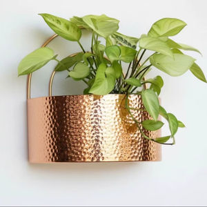 Macetero de pared con diseño martillado de primera calidad, acabado en dorado, para decoración de pared de balcón, decoración de pared para cafeterías y restaurantes. - Product Image 1