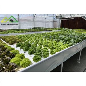 Système de serre aquaponique pour l'élevage commercial de poissons et de légumes, écosystème durable - Product Image 3