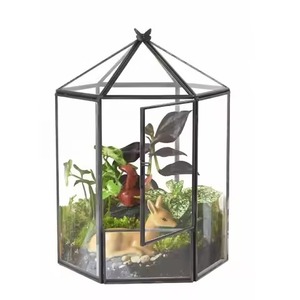 Macetero de Vidrio y Metal Resistente, Elegante Soporte Geométrico para Plantas de Interior, Decoración del Hogar - Product Image 3