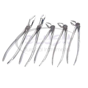 Reusable Stainless Steel Dental Surgical Instruments Manual Tooth Extracting Forceps Instrument CE Certified By <b>Blush</b> Surgical - Product Image 3