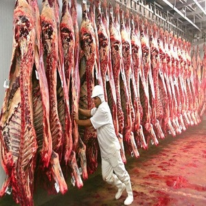 Carcasse de bœuf congelée avec des propriétés de conservation pratiques pour les distributeurs de viande, les restaurants et les besoins en matière d'approvisionnement pour les supermarchés - Product Image 6