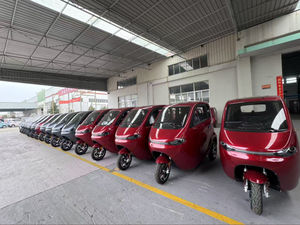 Conduite facile en ville, <span class=keywords><strong>stationnement</strong></span> sans tracas, aucun permis nécessaire, tricycle électrique 25-45 km/h. - Product Image 4