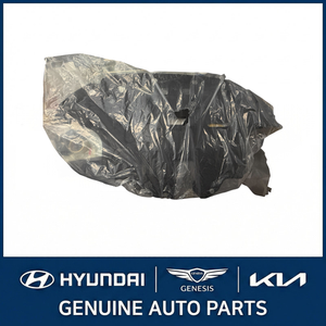 Paneles Laterales y de Cuarto de Carrocería Nuevos para IONIQ 29110G2000 - Product Image 2