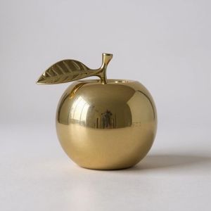 Decorative Metal Paperweight For Tabletop Styling And Professional Office Use With Premium Finished Surface Design - Product Image 4