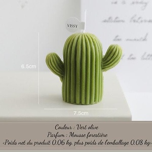 Candela Profumata Cactus - Muschio Forestale - Product Image 2