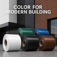 Jauge flexible et sélection de largeur en plusieurs couleurs pour la conversion de tôles en bobines d'aluminium peint