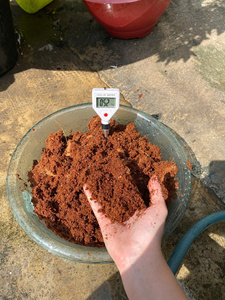 Bloques de Fibra de Coco Ecológicos Eco2go Vietnam |   Precio de Fábrica al por Mayor 5kg |   Compra al por Mayor para Agricultura y Cultivo de Plantas - Product Image 6