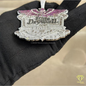 Collier Hip Hop de Luxe en Argent Sterling 925 avec Pendentif Personnalisé Logo et Diamants Moissanite Sertis - Product Image 4