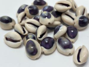 Conchas de Cauri Naturales Talladas con un Tono Púrpura, Material Orgánico Ecológico, Suministros de Arte, Joyería, Manualidades, Accesorios de Moda - Product Image 2