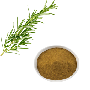 Poudre de feuilles de romarin de qualité supérieure, moulue finement, OEM ODM, 100% pure et naturelle, pour la croissance des cheveux et les soins de la peau - Product Image 5