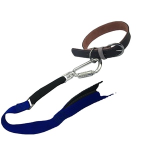 Venta directa, herramienta barata, cordón giratorio, mosquetón, puerta de bloqueo triple para correa de perro - Product Image 4