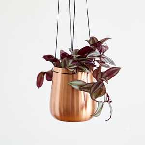 Pot de fleurs suspendu en métal plaqué cuivre moderne, écologique, petite capacité, pour plantes vertes d'intérieur, design minimaliste - Product Image 2