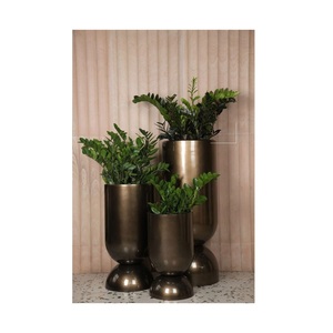 Plantes décoratives avec des jardinières modernes, élégantes et faites à la main pour l'intérieur, en stock au prix de gros - Product Image 1