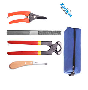 Kit d'outils de fermeur professionnel de 8 pouces, comprenant mini-râpe, lime à sabots, cisailles métalliques pour sabots de chèvre, porc et équidés, et coupe-sabots. - Product Image 2