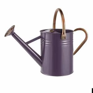 Arrosoir en métal anti-fuite, outil d'arrosage en acier inoxydable pour plantes - Product Image 5