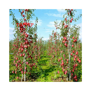 Glass Fiber <b>Rod</b> Agricultural Arch Shed Bracket Vegetable Greenhouse Pole Glass Fiber <b>Rod</b> Small Arch Shed - Product Image 1