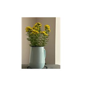 เหยือกนมโลหะสีน้ำเงินสไตล์เรโทร แจกันเคลือบลายดอกไม้สไตล์ชิคๆ - แจกันตกแต่งขายส่งสำหรับตกแต่งบ้านสไตล์ฟาร์มเฮาส์สมัยใหม่ - Product Image 1