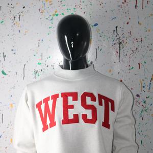 Sudadera con cuello alto color gris ceniza WEST ASH, 100% algodón, con apliques bordados, cuello ancho, URBAN PRODUCTIONS - Product Image 4