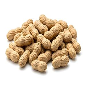 Arachides Indiennes Géantes en Gros 100% Naturelles, Noyaux d'Arachides Bruts Roses Rouges Blanchis Séchés, Snack Personnalisable, Emballage sur Mesure - Product Image 5