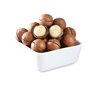 Noix de macadamia blanchies Bluelotus en coque, croustillantes, séchées, sous vide, exportées en vrac de Dak Lak pour la pâtisserie - Product Image 1
