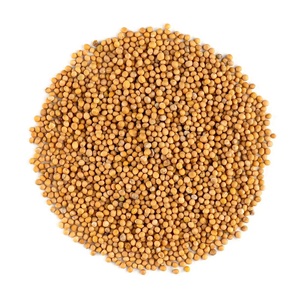 Graines de moutarde de qualité supérieure, naturelles, entières, grade A1, épice pour l'extraction d'huile, la fabrication de cornichons et l'exportation - Product Image 2