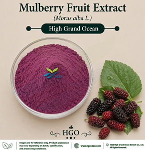 Extrait de fruit de mûrier (Morus alba L.) de qualité alimentaire (approvisionnement direct usine HGO) – Rapports d'extraction 4:1, 5:1, 10:1, 20:1, 100:1, 200:1 - Product Image 1