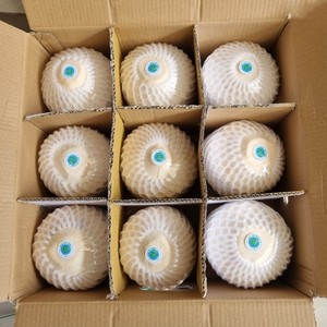 Noix de coco pelée d'origine vietnamienne |   Frais, sucré et biologique - Product Image 5