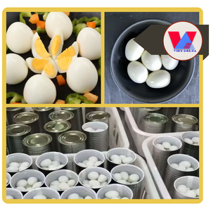 HUEVOS DE CODORNIZ ENLATADOS PREMIUM DE 425g, HUEVOS DE CODORNIZ EN SALMURINA LISTOS PARA COMER, IDEALES PARA HOTPOT, RAMEN, SOPA, BAOZI Y COMIDA DIARIA - Product Image 3