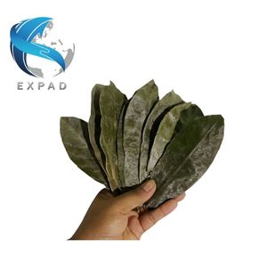 Feuilles de corossol déshydratées à basse température, naturelles, pour tisanes et boissons santé à base de Graviola, qualité supérieure, Guanabana, prix en gros - Product Image 1