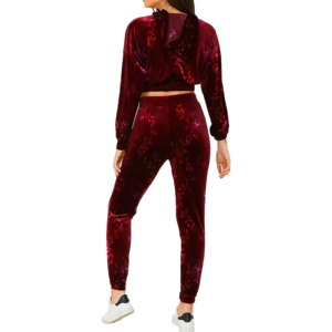 Women Burgundy <b>Velvet</b> Tracksuit Set Hooded Zip Up Crop Top <b>Joggers</b> Floral Print 2 Piece Casual Outfit - Product Image 4