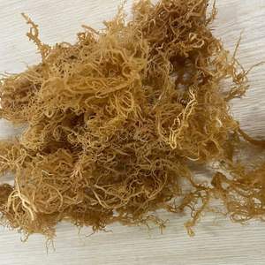 Eucheuma cottonii มอสทะเลอบแห้งสาหร่ายออร์แกนิคไอริชจากเวียดนาม - Product Image 3