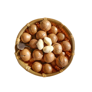 <b>Big</b> Sale Best Selling Vietnam Manufacturer Supply Best Quality Delicious Raw Macadamia Packed in 5kg Bag - Product Image 5