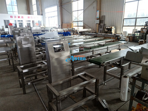 Báscula clasificadora de peso para cintas transportadoras industriales Aslan, máquina clasificadora y seleccionadora de peso para pollos y patos en granjas avícolas - Product Image 3