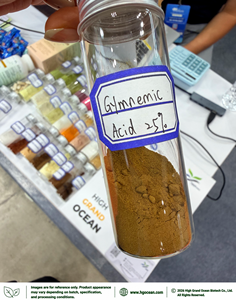 HGO Fournisseur direct d'usine d'extrait de feuilles de Gymnema Sylvestre pur et naturel, qualité alimentaire, acide gymnémique 25% extrait standardisé - Product Image 2
