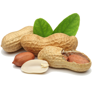 Cerneaux d'arachides bruts de qualité supérieure, arachides indiennes en vrac, vente en gros, prêts à être expédiés, livraison rapide - Product Image 6