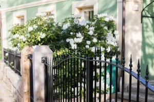 Puerta de Granja Moderna de Acero con Recubrimiento en Polvo, Diseño Arqueado Abatible para Uso en Exteriores, Estilo Contemporáneo y Duradero - Product Image 2