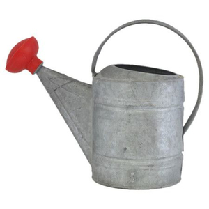 Arrosoir en fer galvanisé finition argent classique, haute qualité, résistant aux intempéries, outil de jardin pour la décoration intérieure et l'arrosage des plantes - Product Image 2