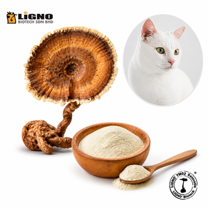 สารสกัดเห็ดนมเสือ LiGNO TM02 ชนิดน้ำ สำหรับสัตว์เลี้ยง อาหารเสริมเพื่อสุขภาพ ได้รับการรับรองมาตรฐาน GMP - Product Image 1
