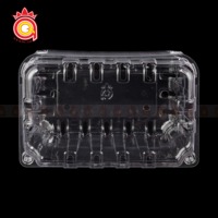 QUANG QUAN Contenedor de plástico PET transparente desechable Cajas transparentes sostenibles Uso de almacenamiento de tapa con bisagras-para almacenamiento de pasteles de frutas