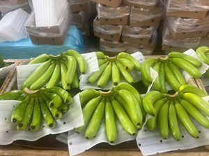 Bananes Cavendish Premium du Vietnam – Goût sucré, qualité fraîche, idéales pour l'exportation - Product Image 3