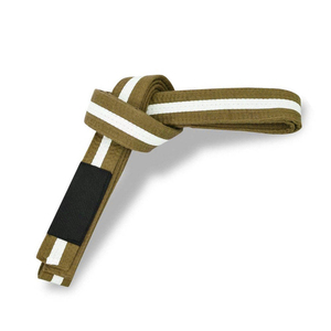 Ceinture de Taekwondo, Karaté, Judo, Jiu-Jitsu Brésilien (BJJ) avec logo personnalisé brodé, vente en gros directe d'usine du Pakistan - Product Image 1