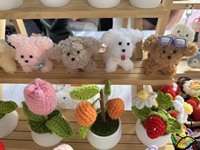 대만 인형 구름 곰 강아지