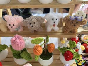 ตุ๊กตาไต้หวันเมฆหมีลูกสุนัข - Product Image 5