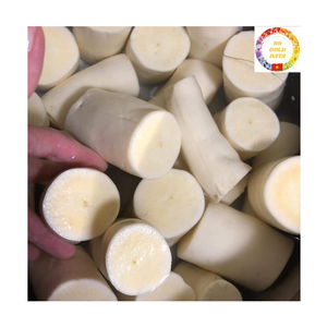 Raíz de Yuca Congelada |   Yuca Blanca Pelada IQF |   Suministro a Granel de Grado Alimenticio |   Proveedor de Exportación de Vietnam - Product Image 2