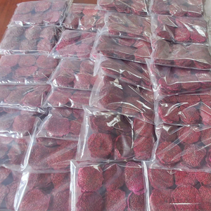 ผลไม้มังกรเวียดนามสดใหม่คัดสรรพิเศษสำหรับผู้นำเข้าขนมขบเคี้ยวระดับโลก ชุดของขวัญผลไม้สุดพิเศษ 99 โกลด์ ดาต้า 100% สดใหม่จากธรรมชาติ - Product Image 5