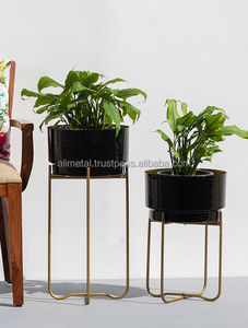 Ensemble personnalisable de 2 supports de plantes en métal émaillé noir enduit de poudre pour la décoration de la maison et du jardin - Product Image 2