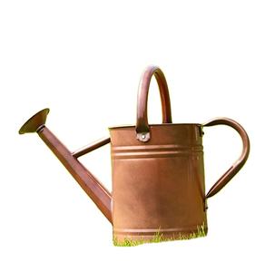 Arrosoir en acier de style rustique vintage, couleur et taille personnalisables, capacité de 1,5 L, durable, écologique, outil de jardinage extérieur, vente en gros - Product Image 1