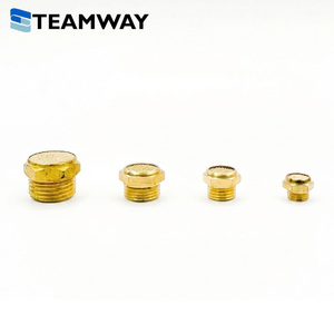 ท่อเก็บเสียงลมแบบแบน TEAMWAY SFG Series Sintered Bronze Muffler ทำจากทองเหลือง ขนาด 1/8" 1/4" 3/8" 1/2" 0-1.0 - Product Image 2